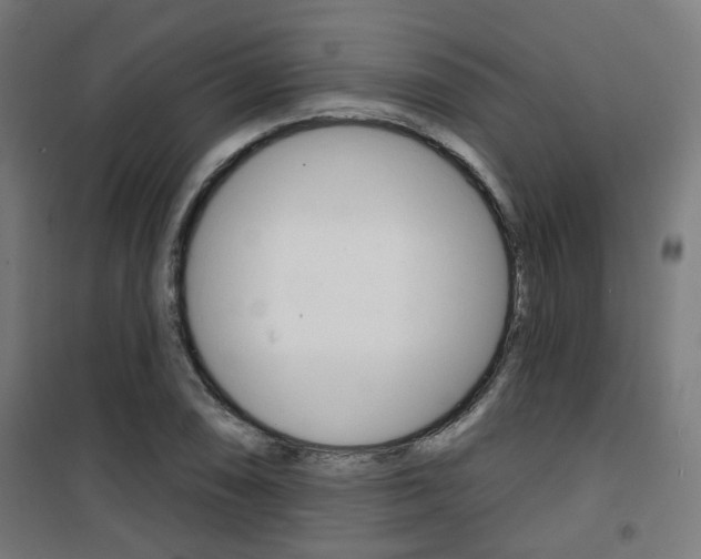 X0000101401074200807071024