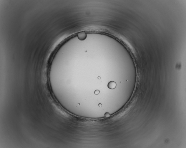 X0000101401075200807071024