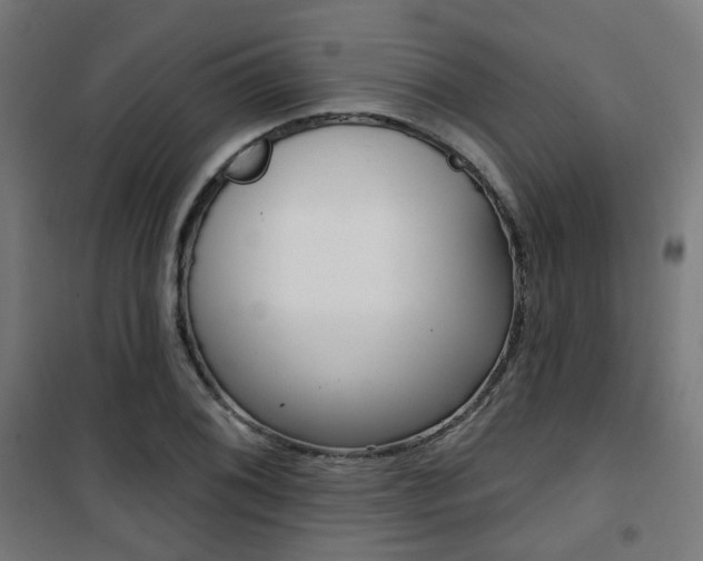 X0000101401076200807071024