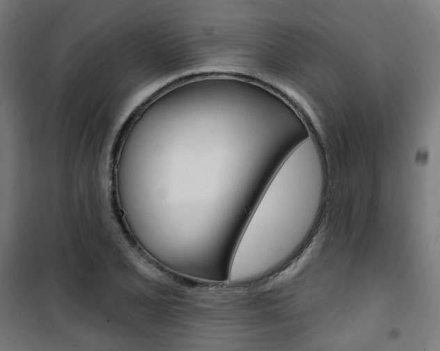 X0000101401077200807071024