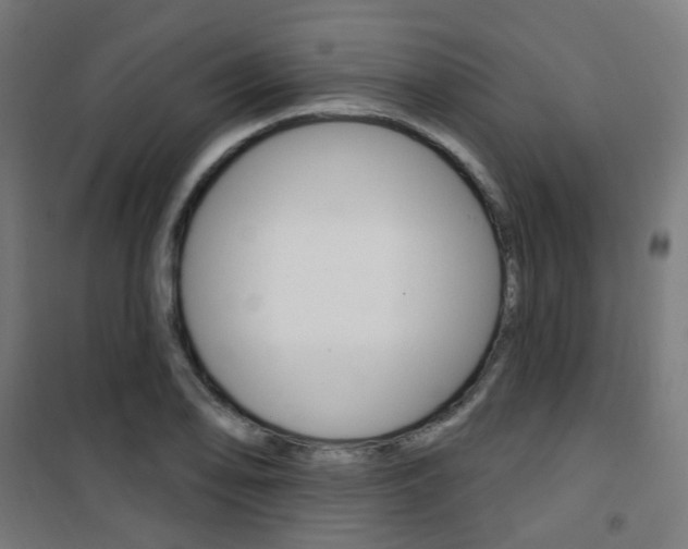 X0000101401078200807071024