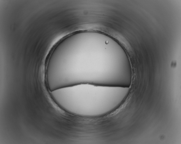 X0000101401079200807071024