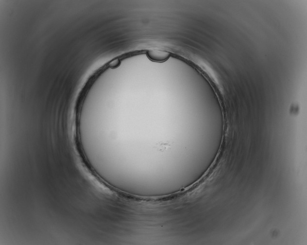 X0000101401080200807071024