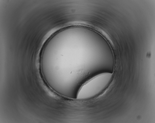 X0000101401082200807071024