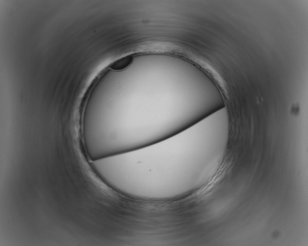 X0000101401083200807071024