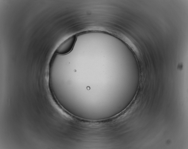 X0000101401084200807071024