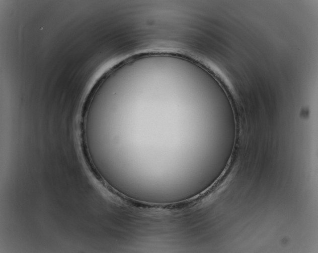 X0000101401085200807071024