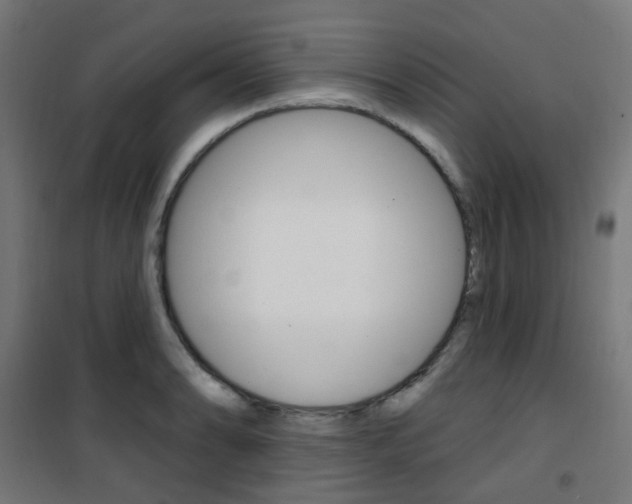 X0000101401086200807071024