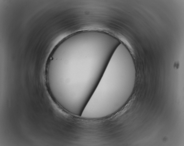 X0000101401087200807071024