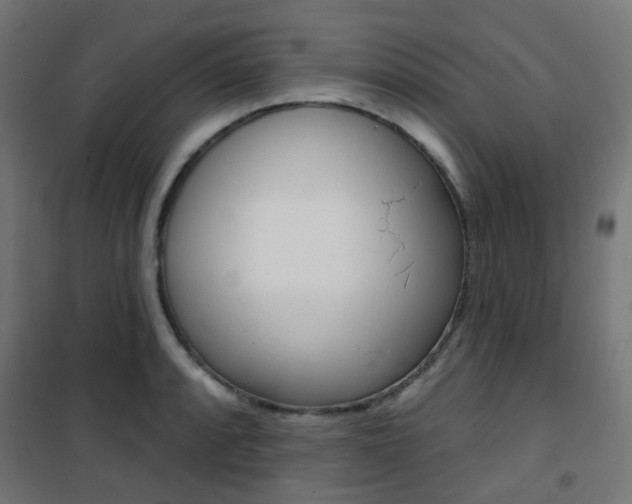 X0000101401088200807071024