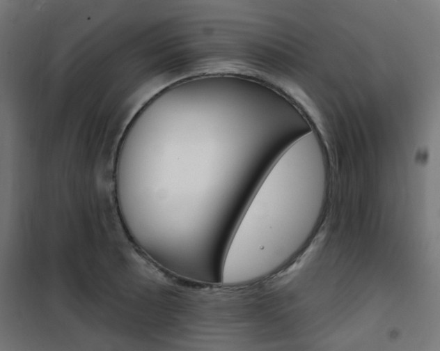 X0000101401089200807071024