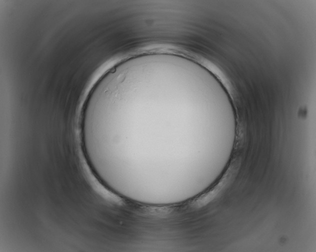 X0000101401090200807071024