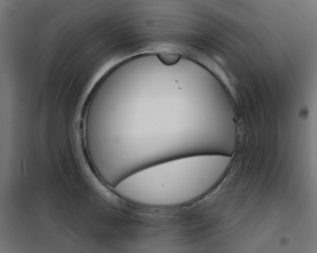 X0000101401091200807071024