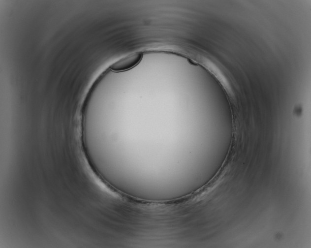 X0000101401092200807071024