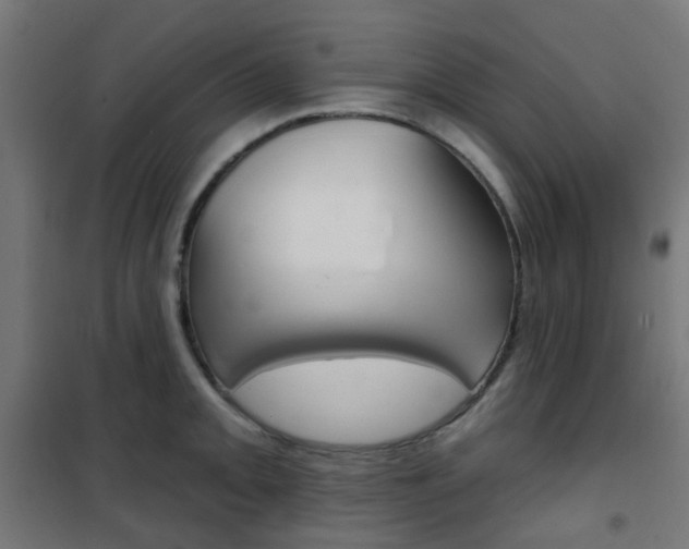 X0000101401093200807071024