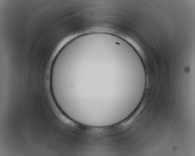 X0000101401094200807071024