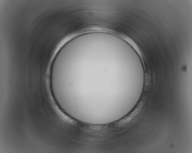 X0000101401098200807071023