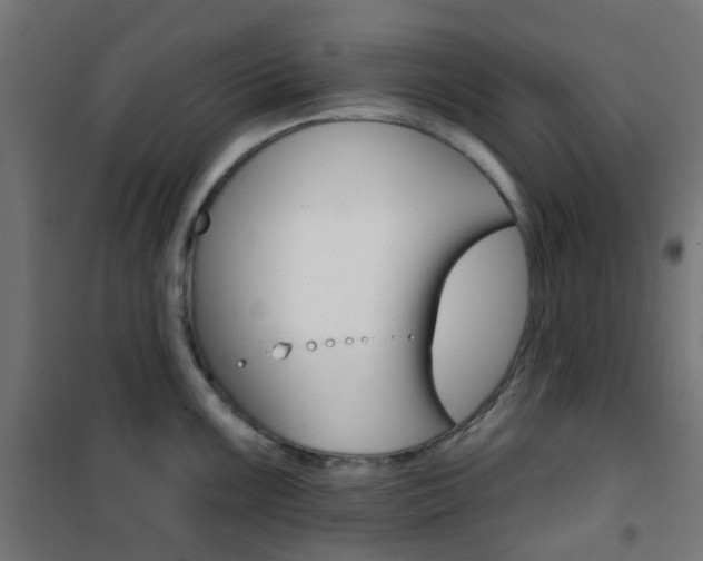 X0000101401099200807071023