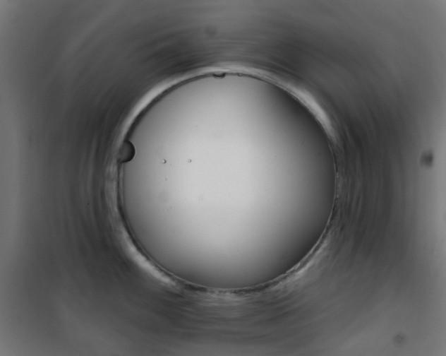 X0000101401100200807071023