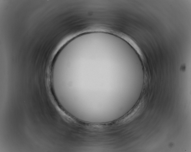 X0000101401101200807071023