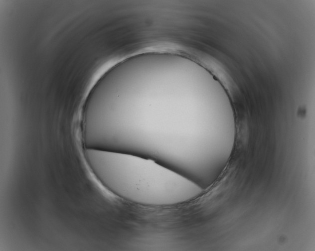 X0000101401103200807071023