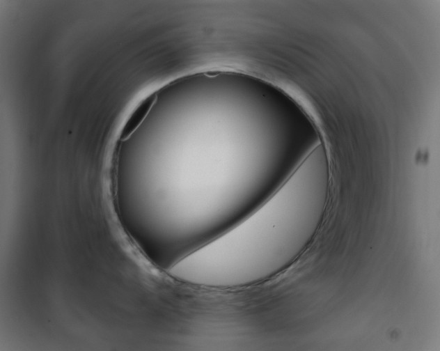 X0000101401104200807071023