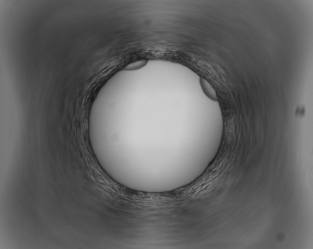 X0000101401105200807071023