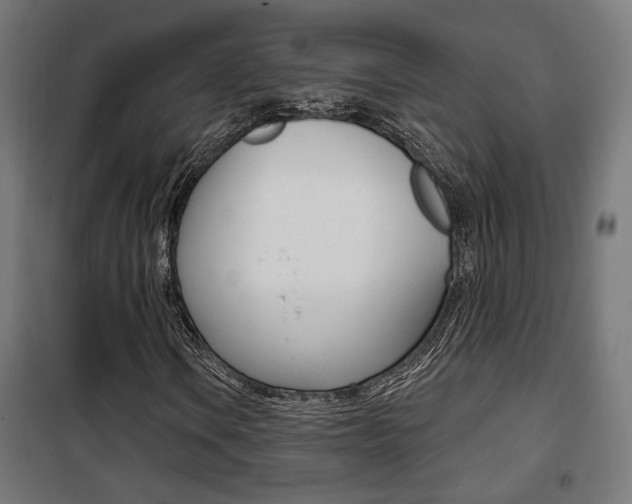 X0000101401106200807071023