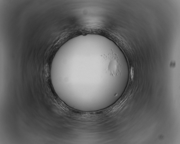 X0000101401107200807071023