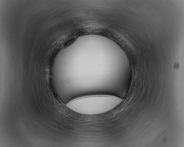 X0000101401108200807071023
