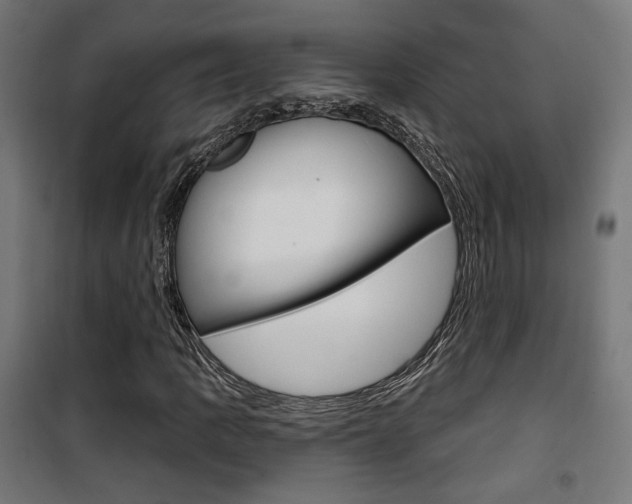 X0000101401109200807071023