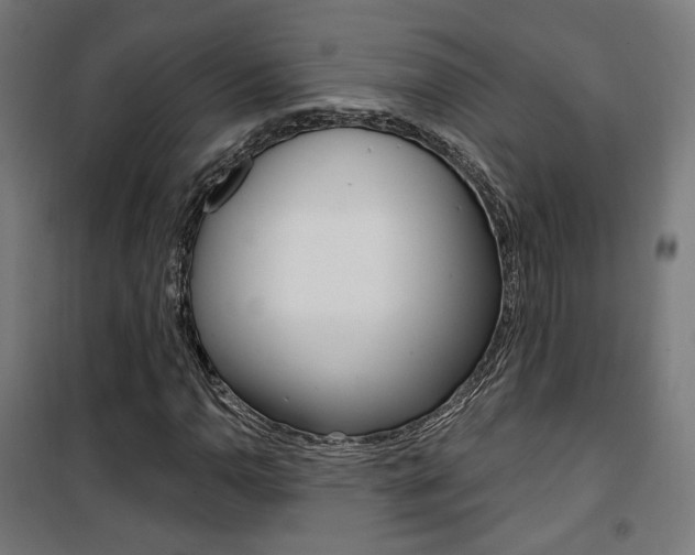 X0000101401110200807071023