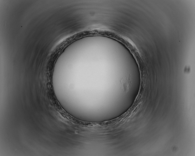 X0000101401112200807071023