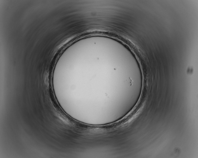 X0000101401113200807071023