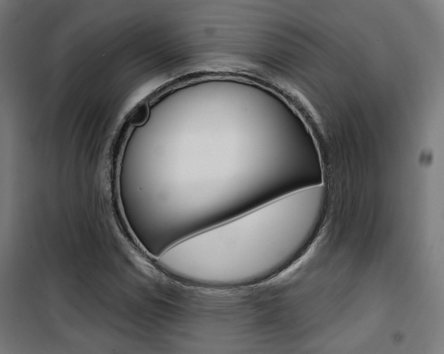 X0000101401114200807071023
