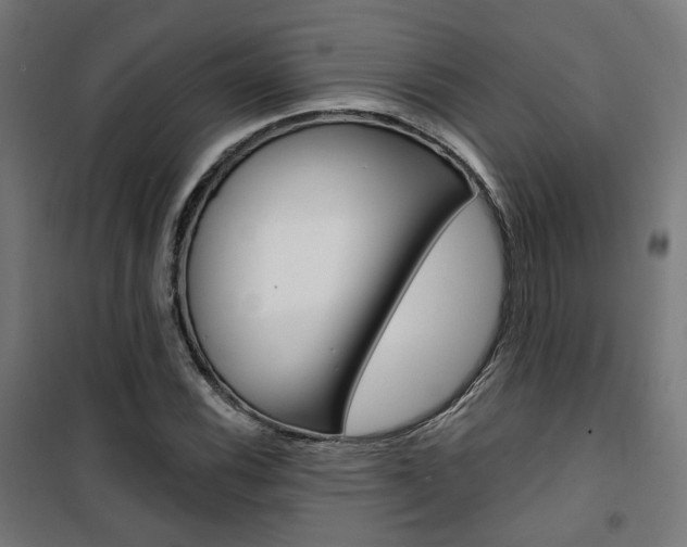 X0000101401116200807071023