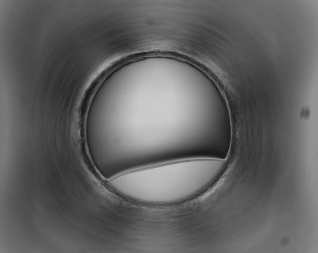 X0000101401118200807071023
