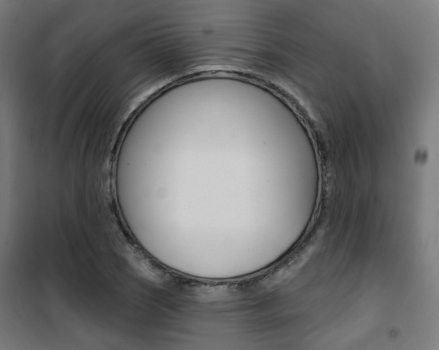 X0000101401121200807071023