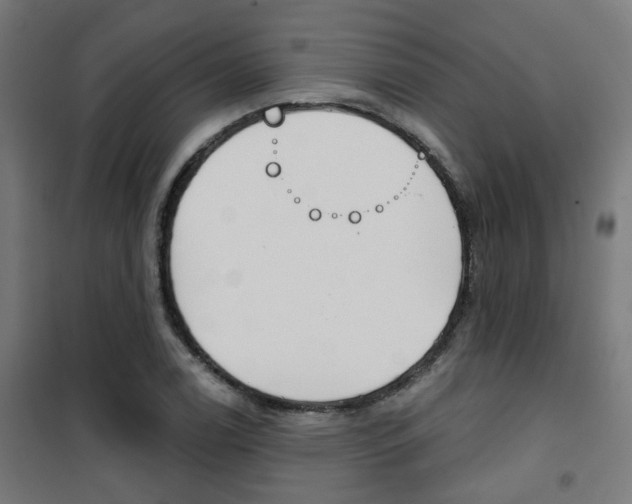 X0000101401122200807071023