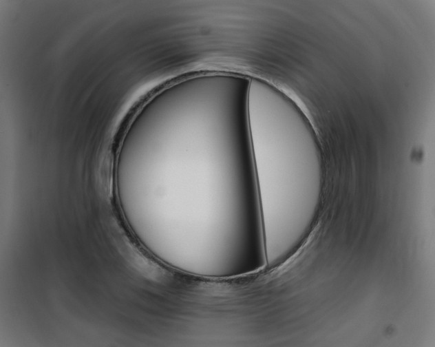 X0000101401123200807071023