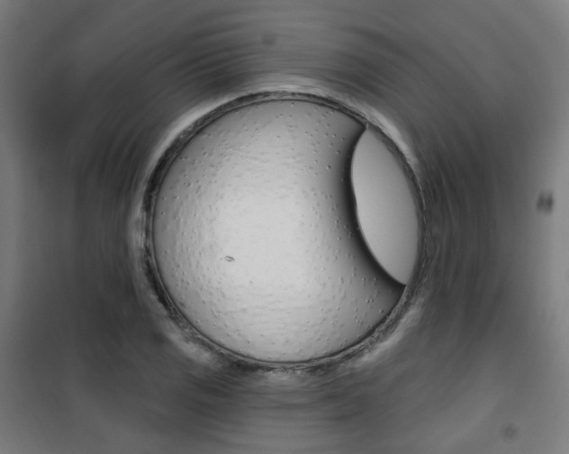 X0000101401125200807071023