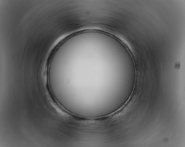X0000101401127200807071023