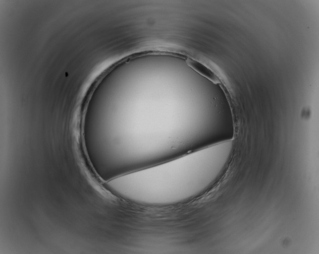 X0000101401128200807071023