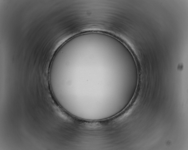 X0000101401129200807071023