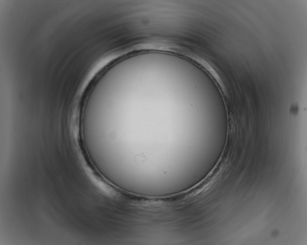 X0000101401131200807071023