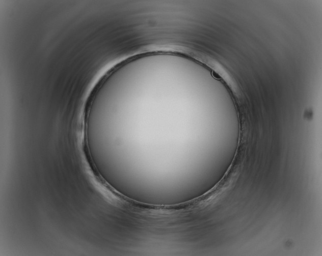 X0000101401132200807071023