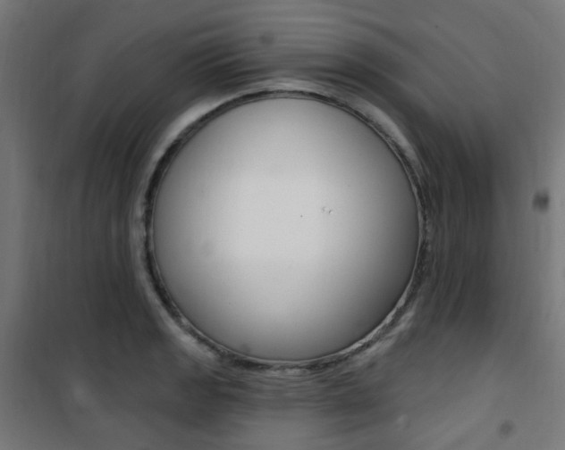X0000101401133200807071023