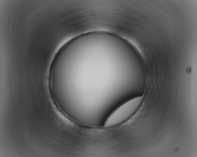 X0000101401135200807071023