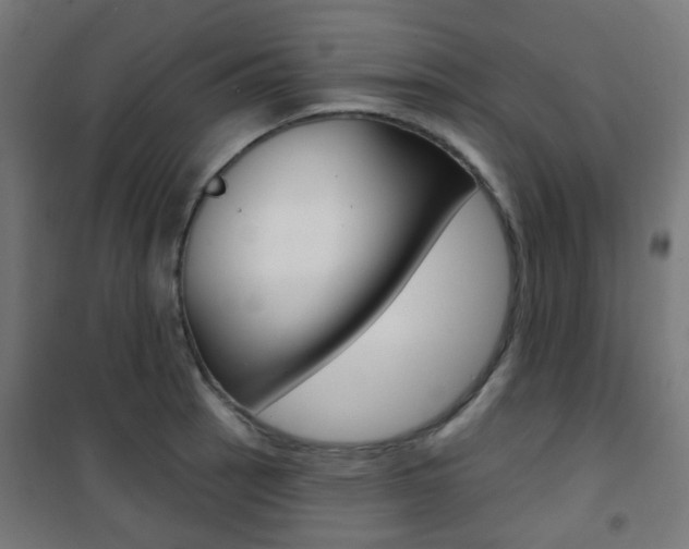 X0000101401137200807071023
