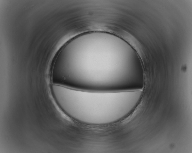 X0000101401141200807071023